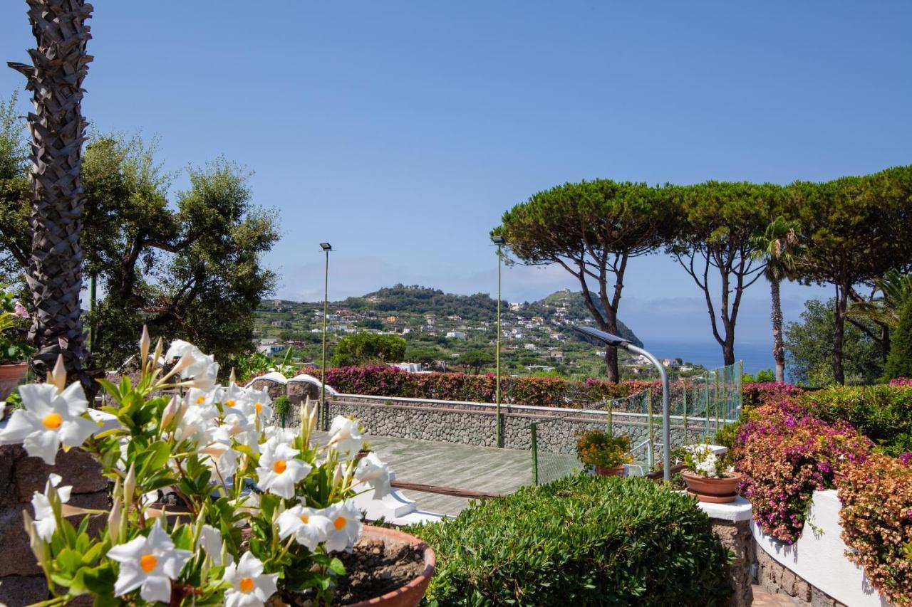 Villetta Con Giardino Esclusivo Di 1000 Mq, Piscina, Tennis, Calcio, Bocce Форио Экстерьер фото