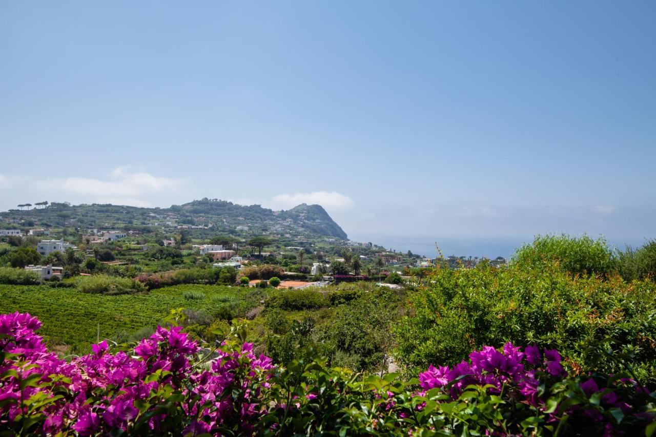 Villetta Con Giardino Esclusivo Di 1000 Mq, Piscina, Tennis, Calcio, Bocce Форио Экстерьер фото