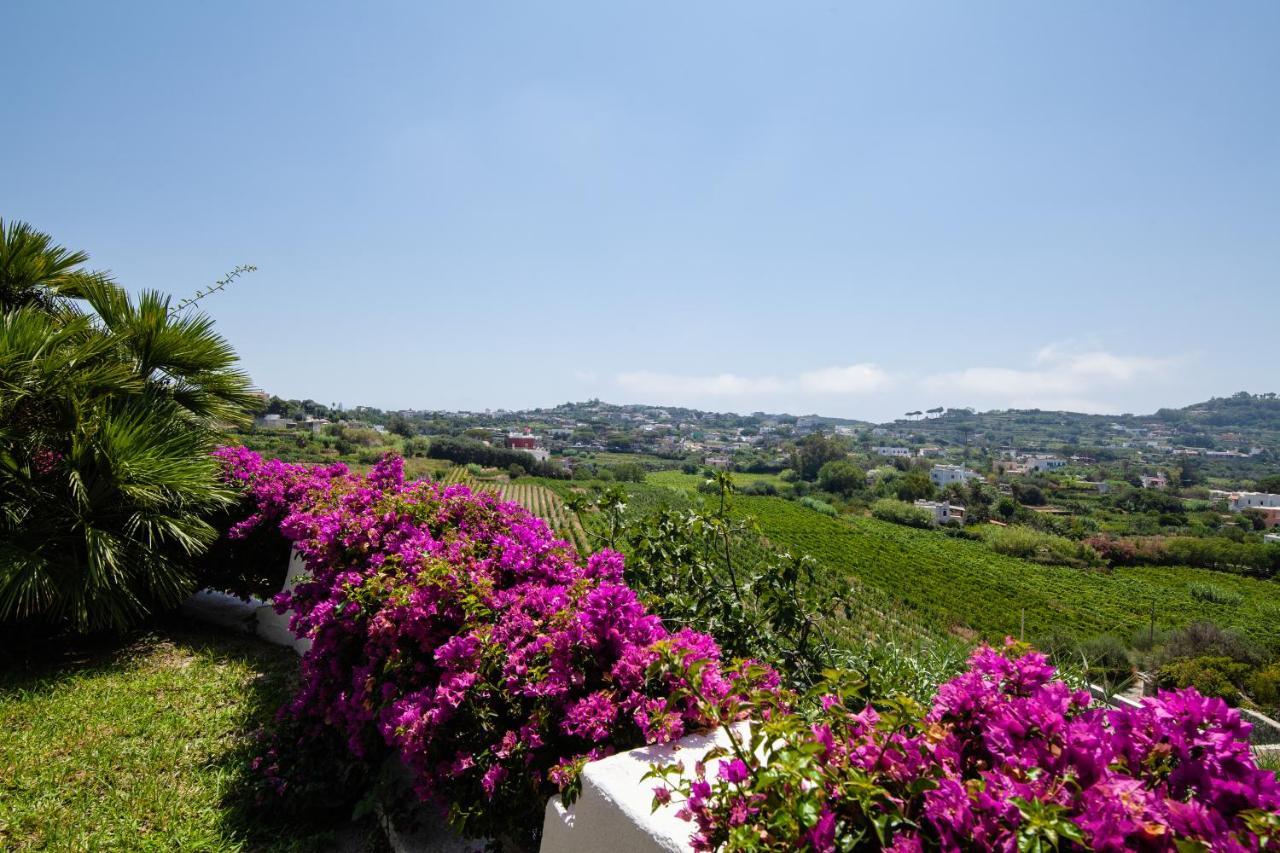 Villetta Con Giardino Esclusivo Di 1000 Mq, Piscina, Tennis, Calcio, Bocce Форио Экстерьер фото
