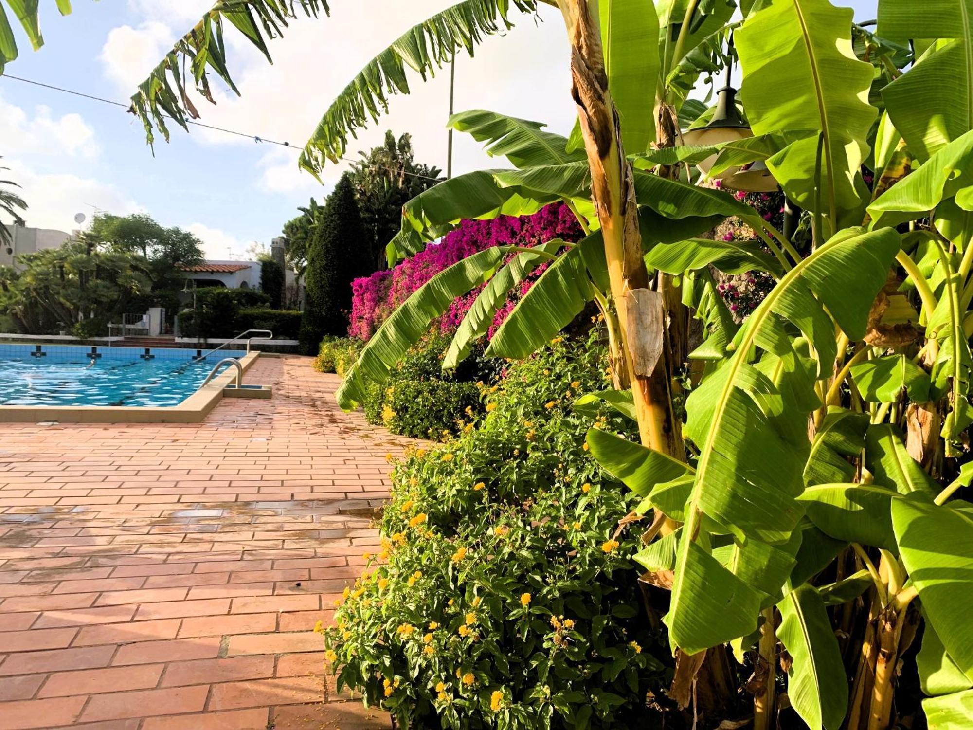 Villetta Con Giardino Esclusivo Di 1000 Mq, Piscina, Tennis, Calcio, Bocce Форио Экстерьер фото