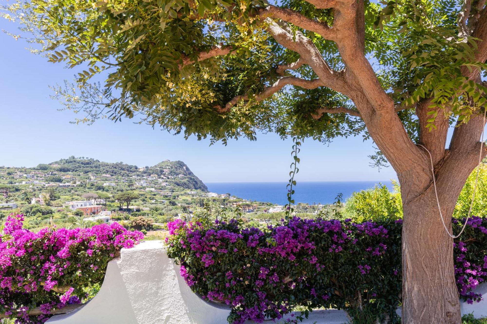 Villetta Con Giardino Esclusivo Di 1000 Mq, Piscina, Tennis, Calcio, Bocce Форио Экстерьер фото